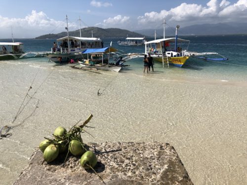 バイス・マンフヨドのドルフィンウォッチングとサンバー
